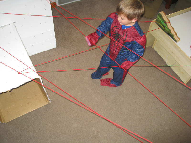Indoor spider web activity