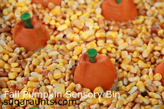 Fall Pumpkin Sensory Bin