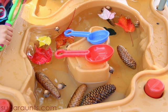 Fall Themed Water Table
