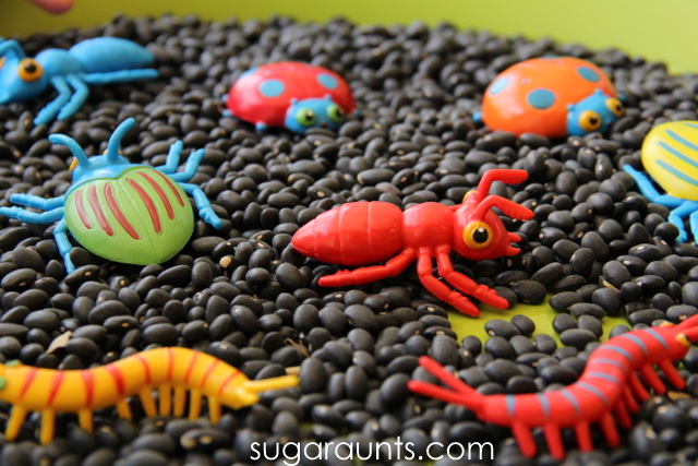 Explore ants, spiders, and beatles with a sensory activity