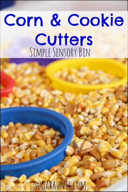 Corn sensory bin with cookie cutters
