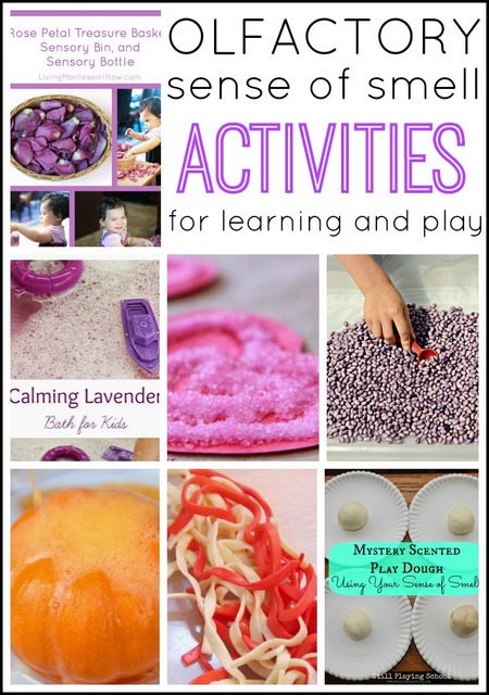 Sensory play ideas for the olfactory sense. Sense of smell activities for kids