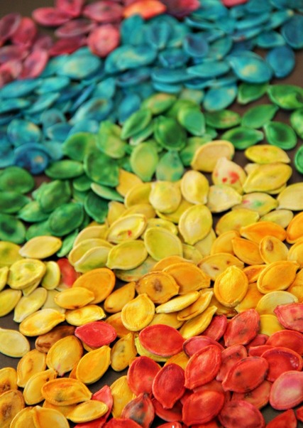 Colored pumpkin seeds are great for kids to use in sensory play.