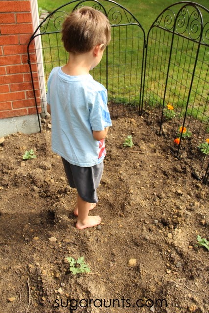 Kids can explore all of the senses in a relaxing and calming sensory garden!  Sight, smell, touch, sound, taste, proprioception, and vestibular senses are addressed with gardening!