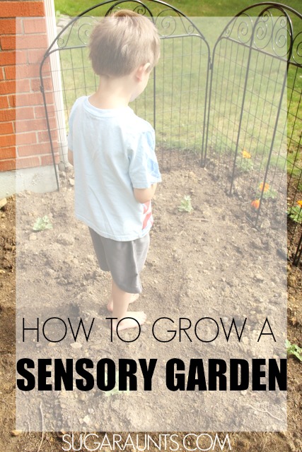 Los niños pueden explorar todos los sentidos en un jardín sensorial relajante y tranquilizador. La vista, el olfato, el tacto, el sonido, el gusto, la propiocepción y los sentidos vestibulares se abordan con la jardinería.