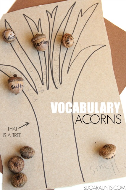 Acorn activity for learning vocabulary words