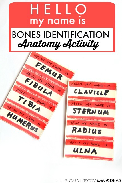 Use labels to teach bone names with a fun way to learn the names of bones.