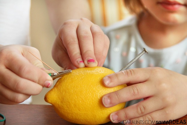 Lemon STEM Science experiment ideas for kids