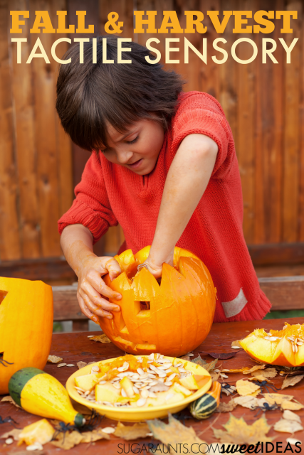 Fall tactile sensory play ideas for families and kids