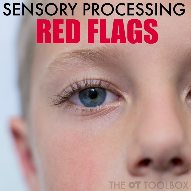 banderas rojas de procesamiento sensorial