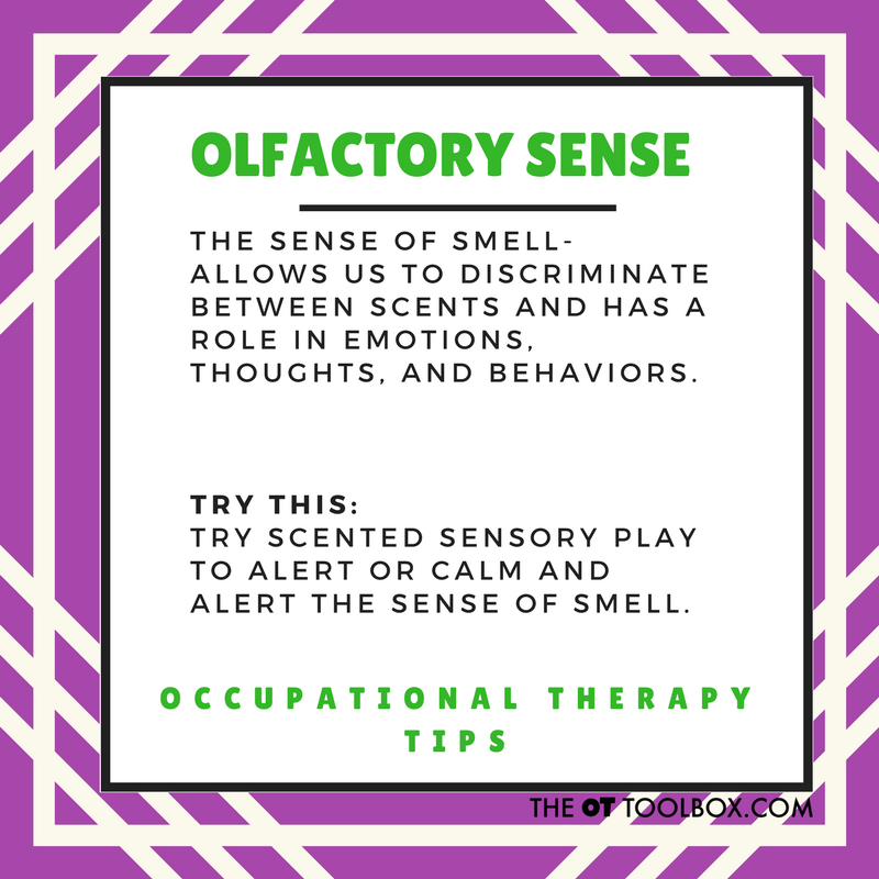  olfactory sense scented play 