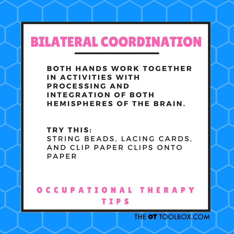  Bilateral coordination activities