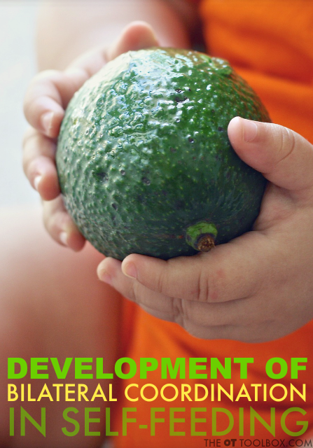 El desarrollo de las habilidades de coordinación bilateral en la alimentación se produce a lo largo de la infancia.  
