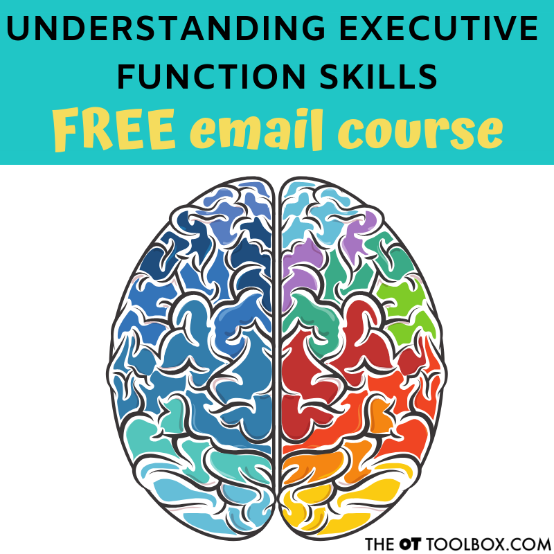 Free email course on executive functioning skills