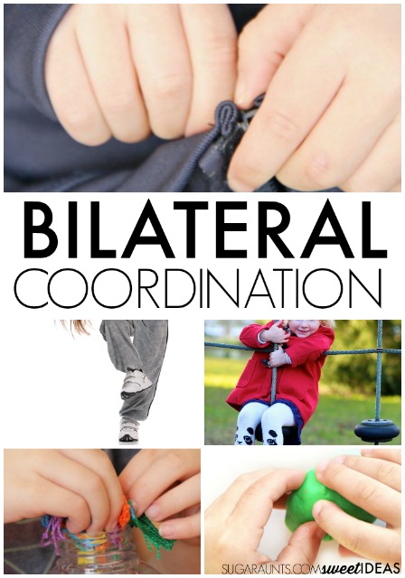 bilateral coordination activities