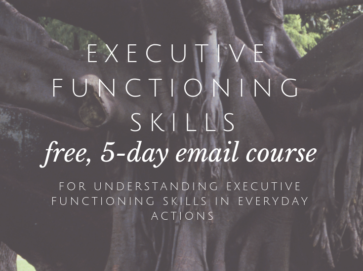 free executive function course