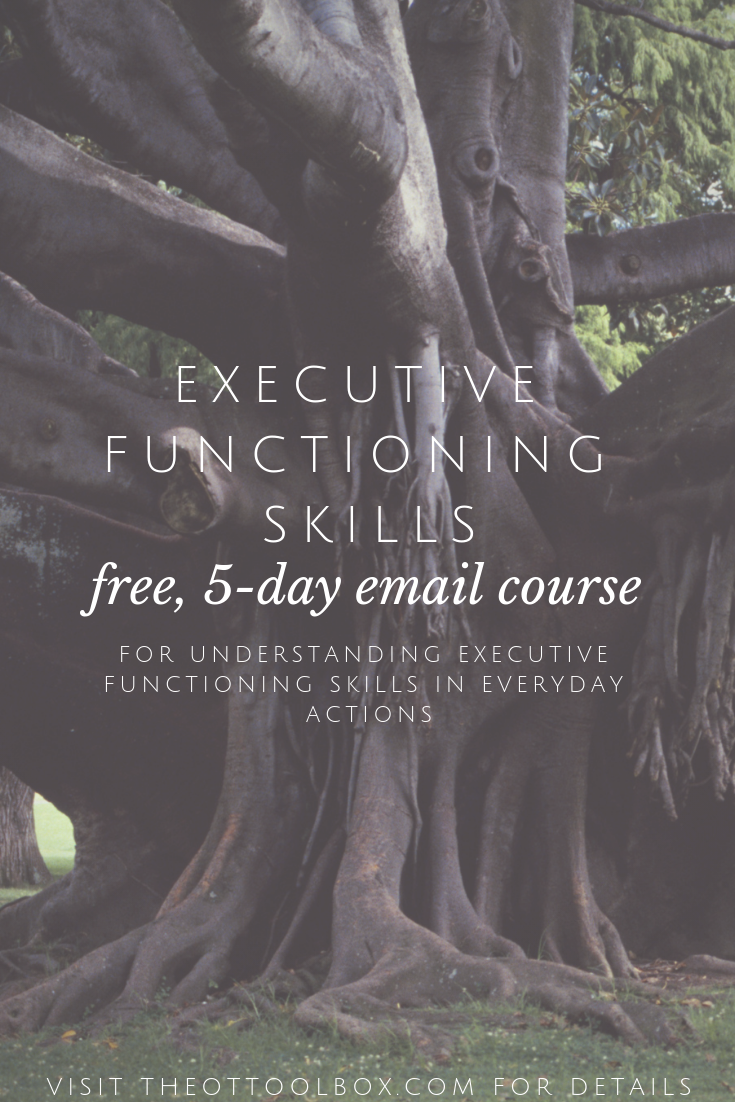 free executive function course