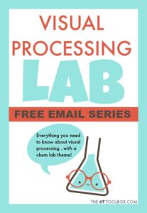 Free visual processing lab