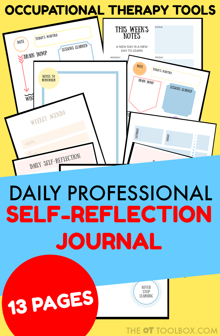 Daily Professional Self reflection journal
