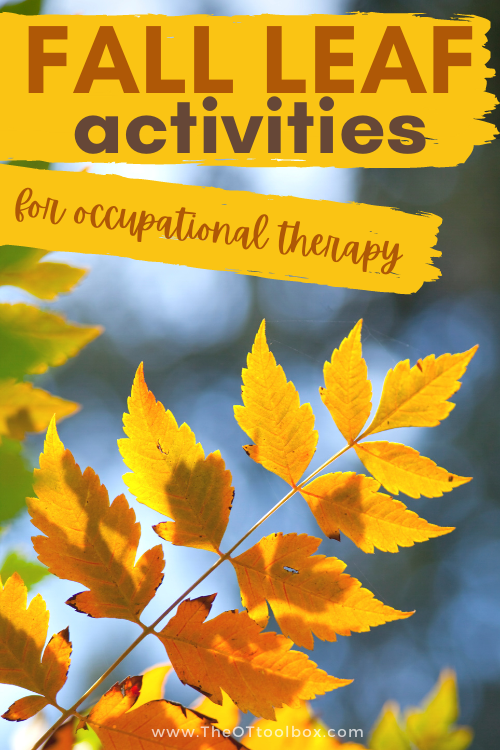 Leaf activities for occupational therapy and to build skills in fine motor development, sensory play, gross motor skills. Use fall leaves in therapy activities! 