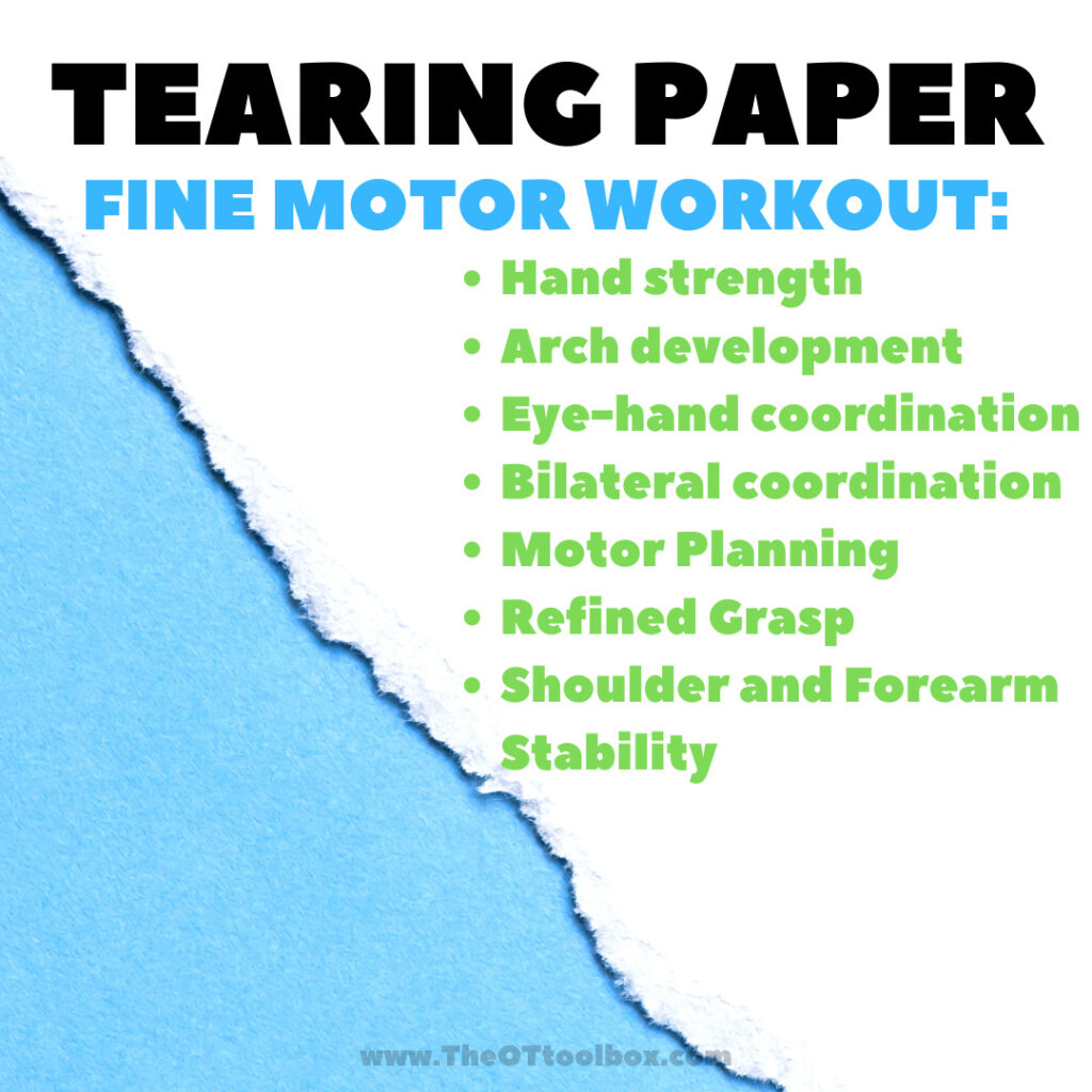 Tearing paper builds fine motor skills and endurance in fine motor precision, making it a fine motor workout!