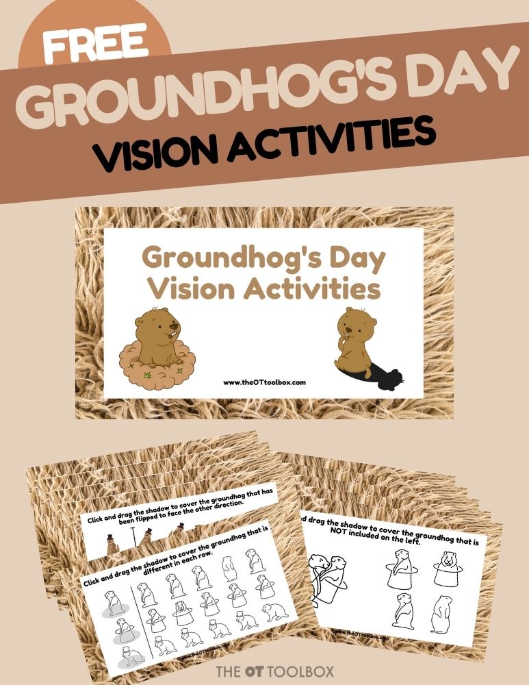 Día de la marmota actividades visuales para la terapia visual y la terapia ocupacional