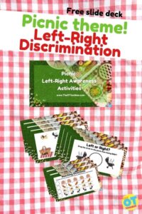 left right discrimination activity