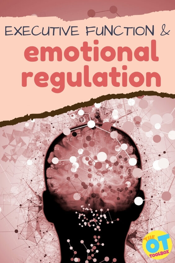 función ejecutiva y habilidades de regulación emocional