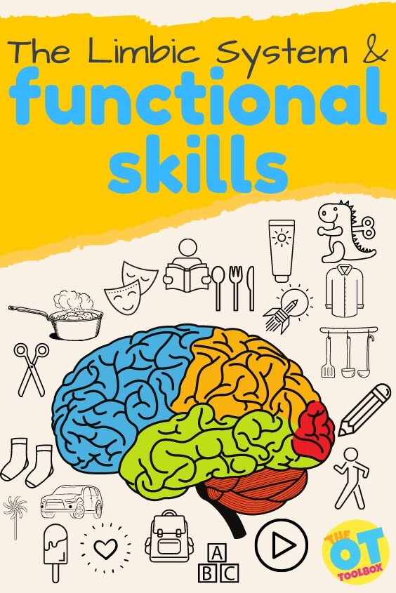 Resources and tools for understanding the limbic system and functional tasks.