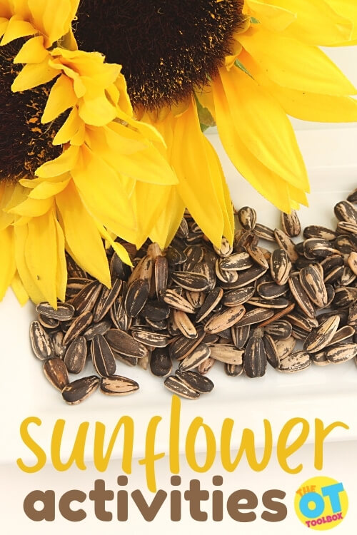 Sunflower activities to help kids develop fine motor skills, gross motor skills, sensory, and executive functioning skills.