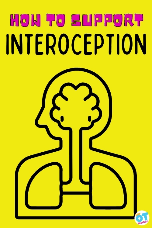 Interoception sensory input impact regulation, modulation, and function.