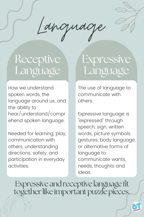 Receptive and expressive language are different aspects of language but are closely connected.