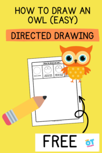 how to draw an owl easy directed drawing sheet