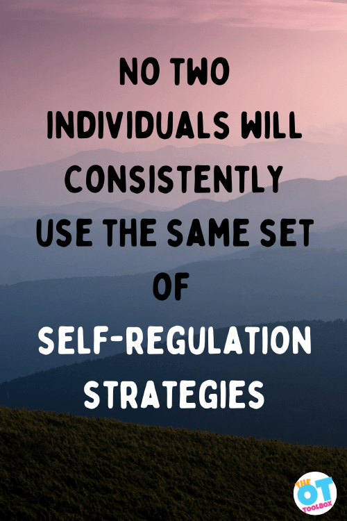 quote about individual needs for self regulation on a background with a sunset in pinks purple and grey