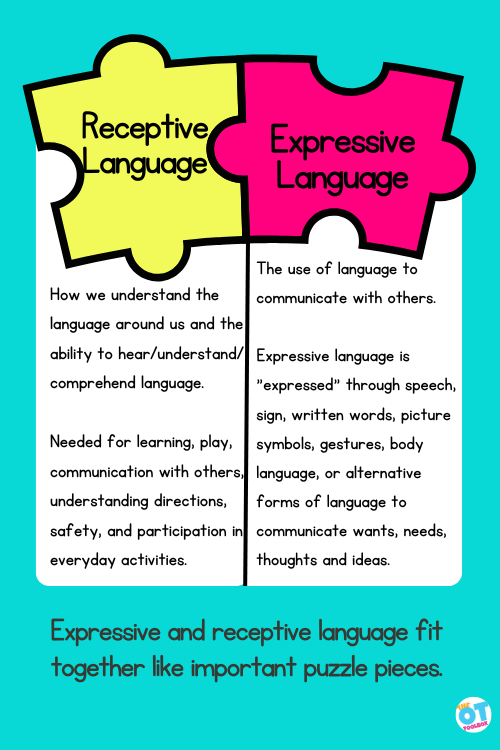 Expressive language vs receptive language