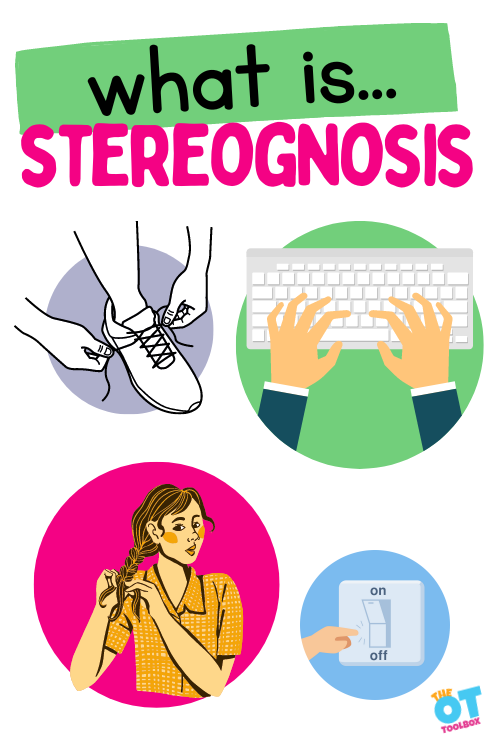 Examples of stereognosis- tying shoes, touch typing, braiding hair without looking, feeling for a light switch. Text reads "what is stereognosis"
