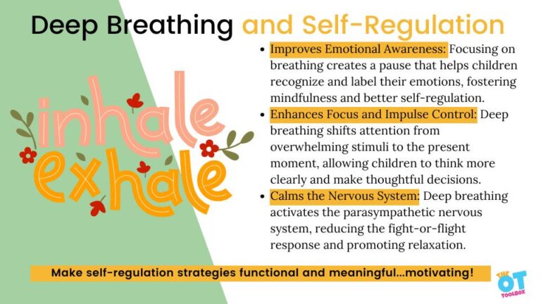 Self Regulation Course Self-Regulation in Schools Course - The OT Toolbox
