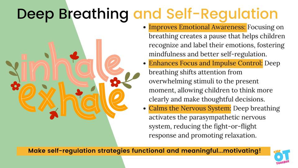 Self-Regulation in Schools Course - Image 7