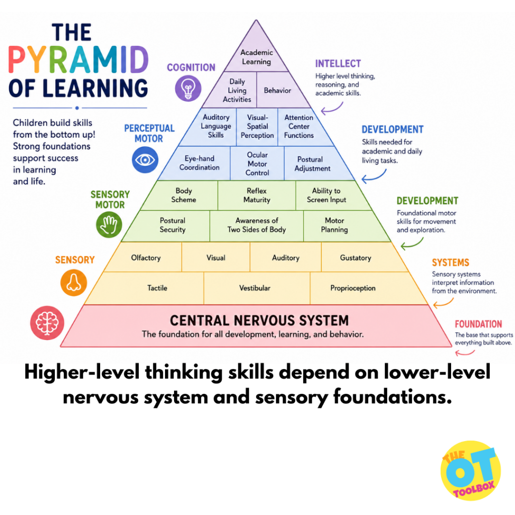 Pyramid of learning
