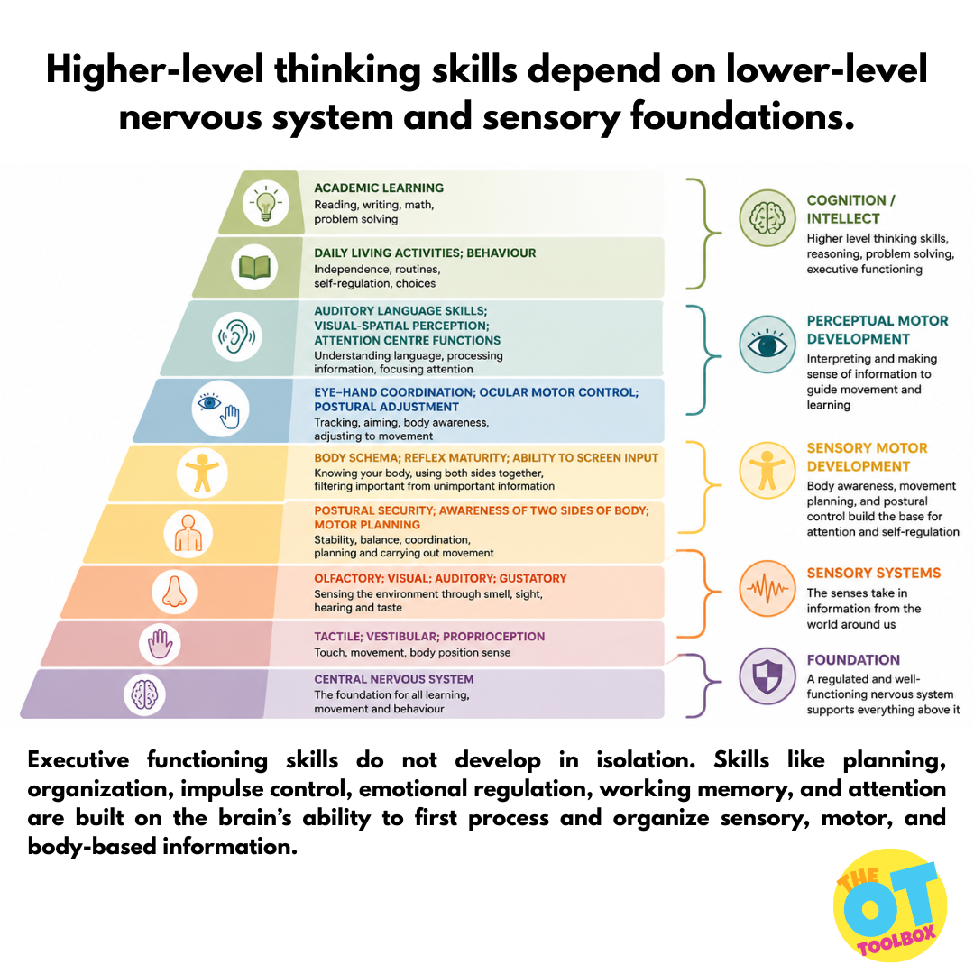 Pyramid of Learning - The OT Toolbox