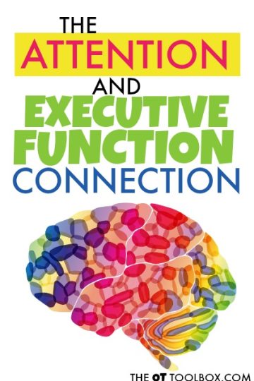 executive function and attention