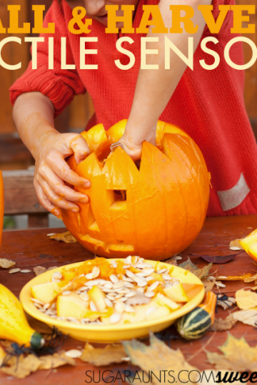 Help kids tolerate tactile sensory play with these Fall tactile sensory activities.