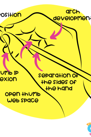 Underlying skills needed for tripod grasp. Picture of a drawing of a hand holding a pencil and labelled areas needed for tripod grasp